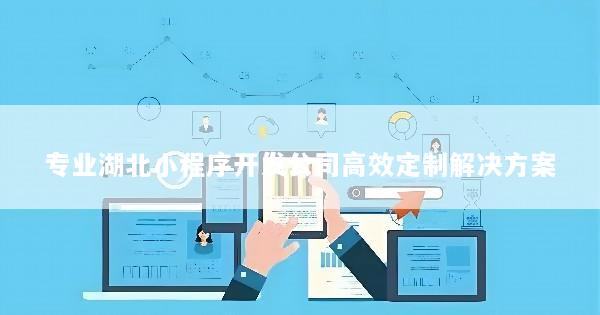 专业湖北小程序开发公司高效定制解决方案