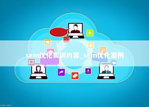 sem优化实训内容_sem优化案例